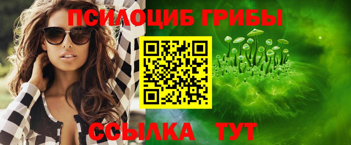 Галлюциногенные грибы Magic Shrooms  Вход с VPN  Краснознаменск  Галлюциногенные грибы мицелий 